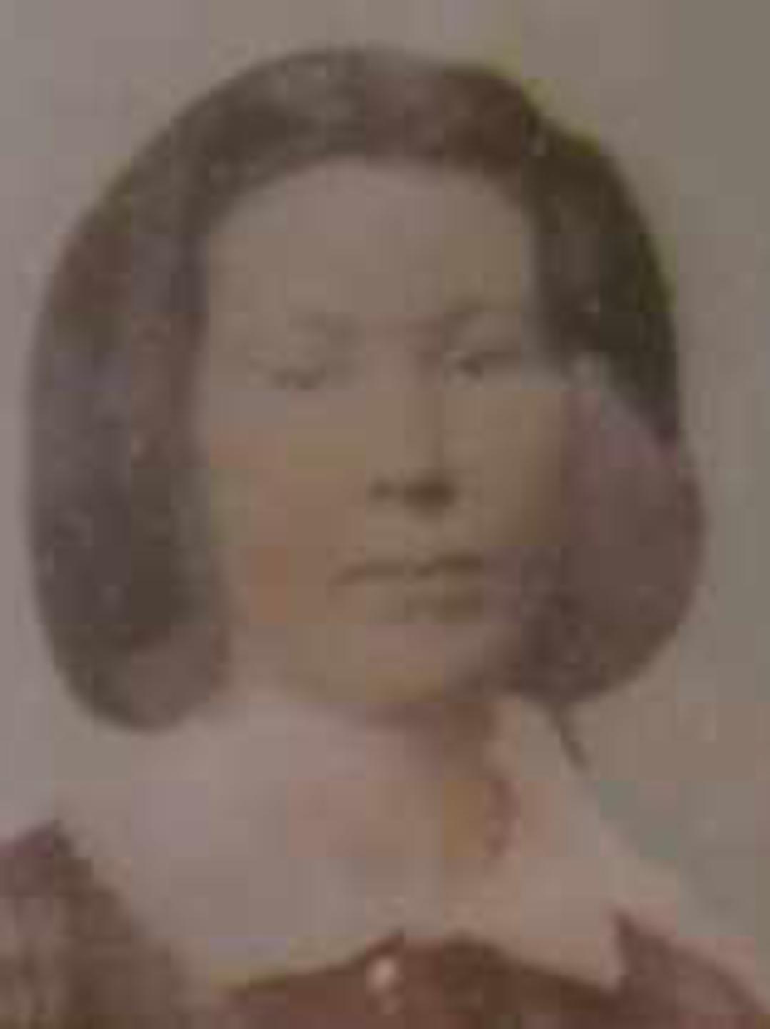 Marian Cook (1845 - 1920) Profile
